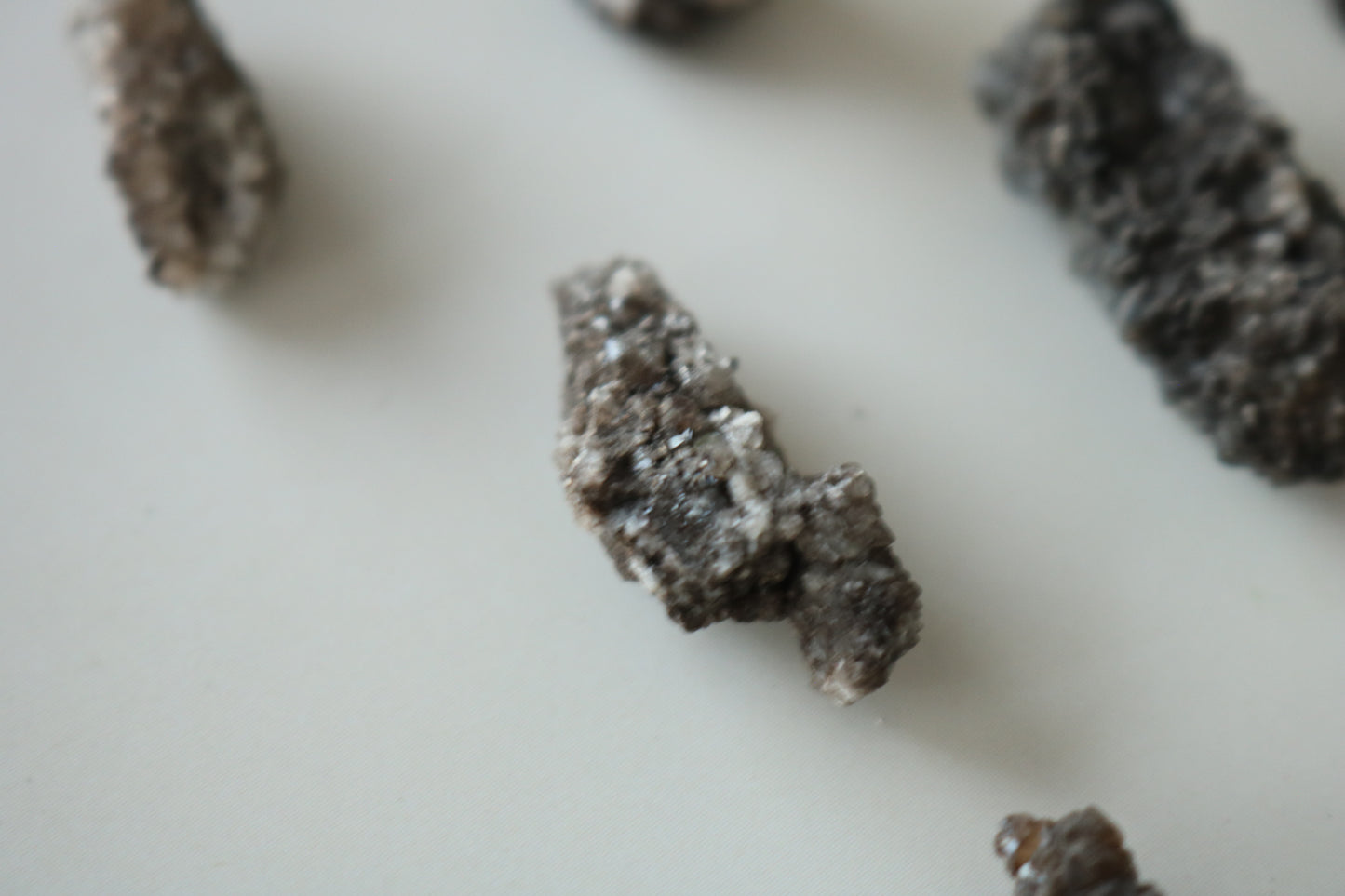 SMOKY QUARTZ ON DINOSAUR BONE