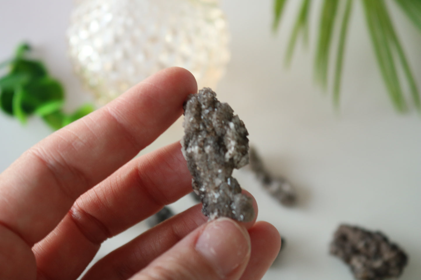 SMOKY QUARTZ ON DINOSAUR BONE