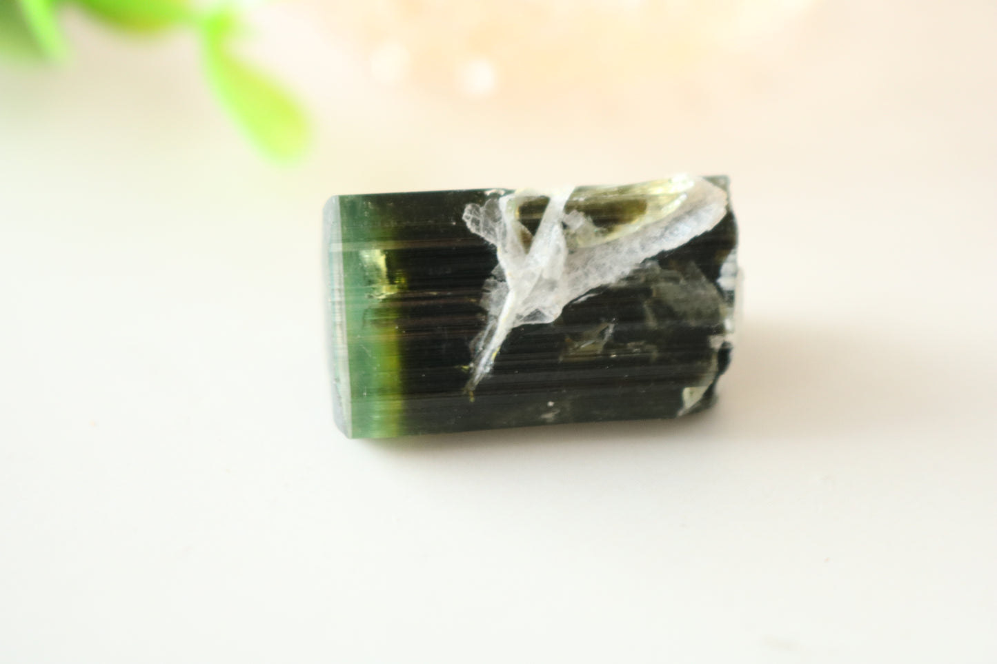 GREEN CAP TOURMALINE SPECIMEN