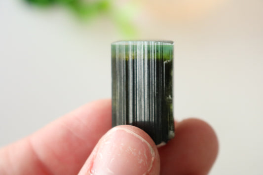 GREEN CAP TOURMALINE SPECIMEN